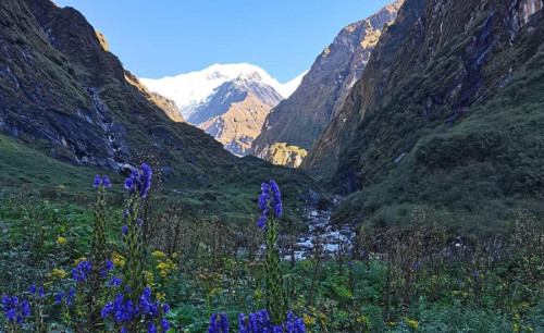 Annapurna Circuit Trek – klassisches Himalaya-Abenteuer