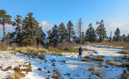 Khopra Danda Trek | Entdecken Sie Annapurnas unberührte Schönheit