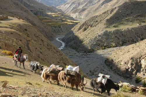 Einzigartiger Upper Dolpo Trek