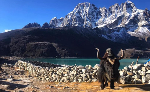 Everest Three Passes Trek | Die ultimative Höhenwanderung