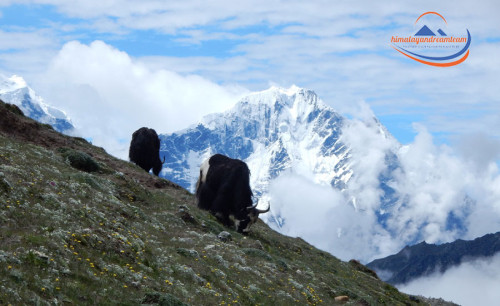Arun Valley Trek mit Everest Base Camp – ein einzigartiges Trekking-Erlebnis