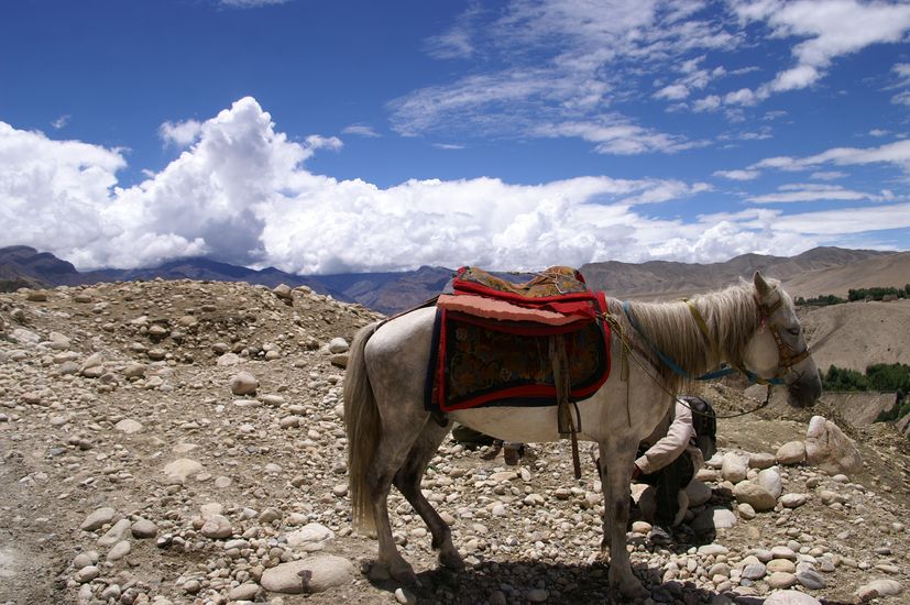 Upper Mustang Tiji Festival Jeep Tour 2025 und 2026