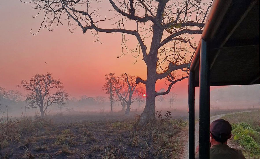 Die Wildnis erkunden: Nationalparks in Nepal