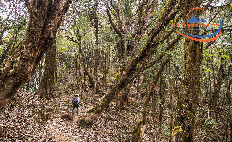 Kurze Wanderungen in der Nähe von Kathmandu