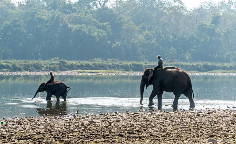 Touristische Aktivitäten im Chitwan-Nationalpark